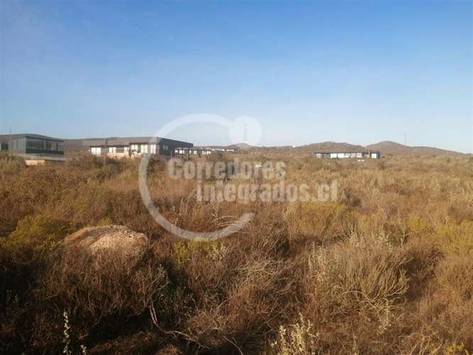 Sitio Venta Rocas del Mar - Los Molles - Imagen 12