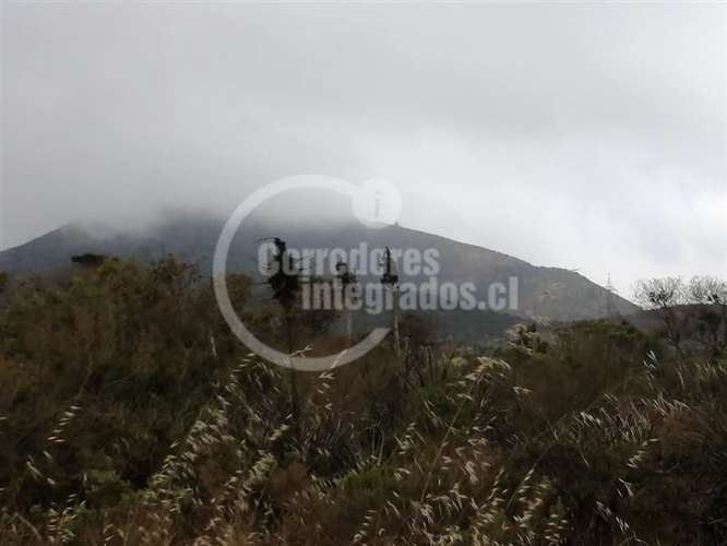 Sitio Venta Rocas del Mar - Los Molles - Imagen 7