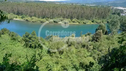 Sitio 5000 m2 venta Ciudad de Los Lagos - Imagen 4