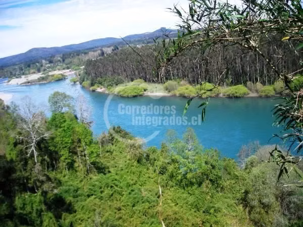 Sitio en Venta en Los Lagos - Imagen 12