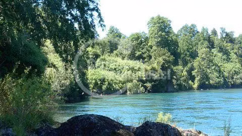 Sitio en Venta en Los Lagos - Imagen 4