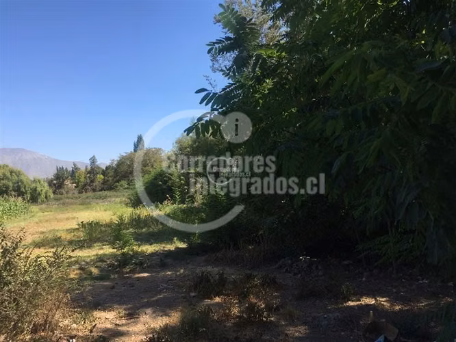 Sitio en Arriendo plano en Pirque