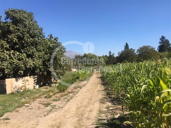 Sitio en Venta plano en Pirque, derechos de agua