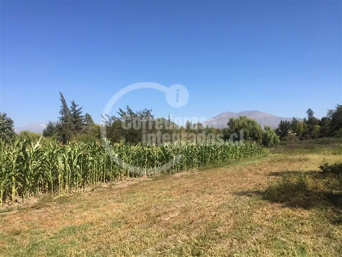 Sitio en Venta plano en Pirque, derechos de agua