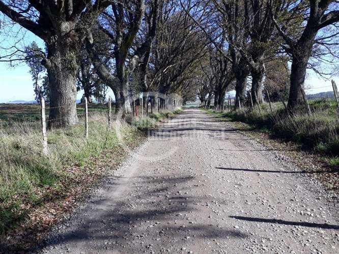 Parcela en venta en Llanquihue