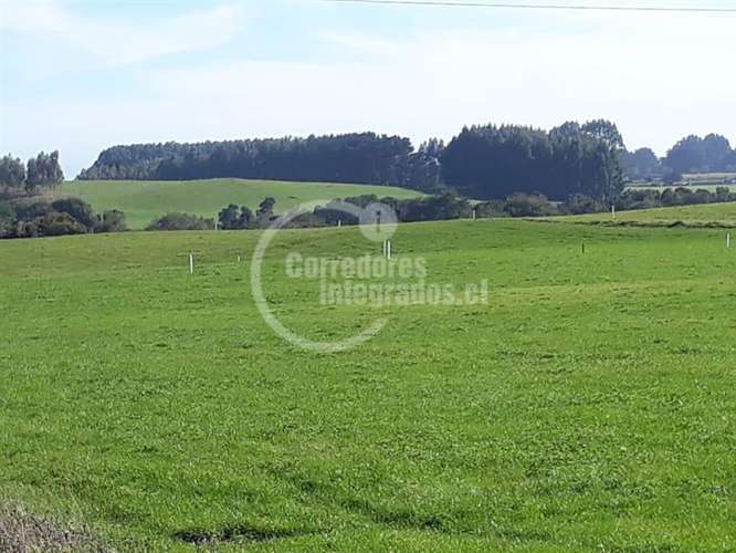 Parcela en venta en Llanquihue