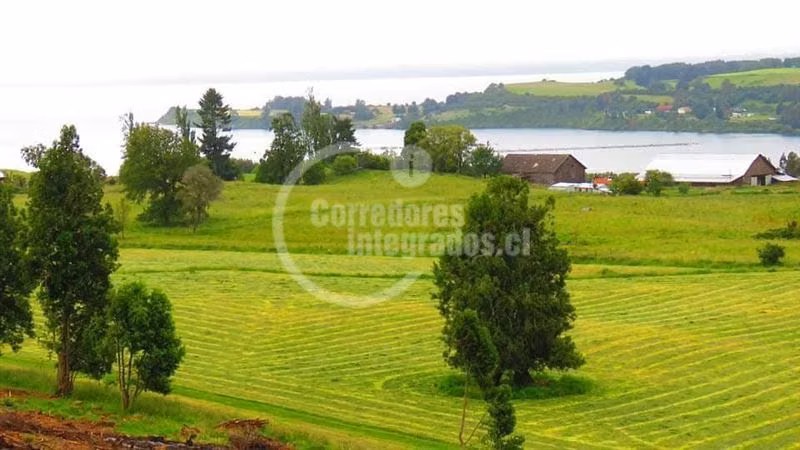 Parcela en venta en Llanquihue