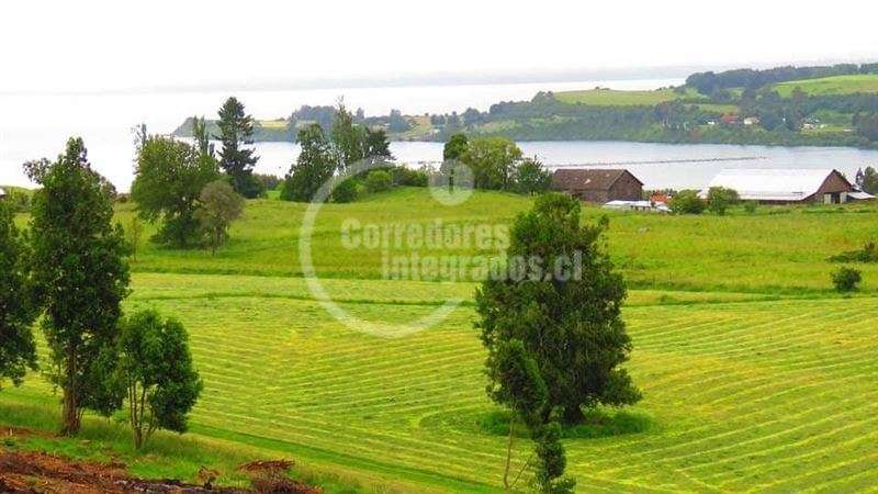 Parcela en venta en Llanquihue