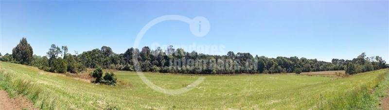 Parcela en venta en Llanquihue