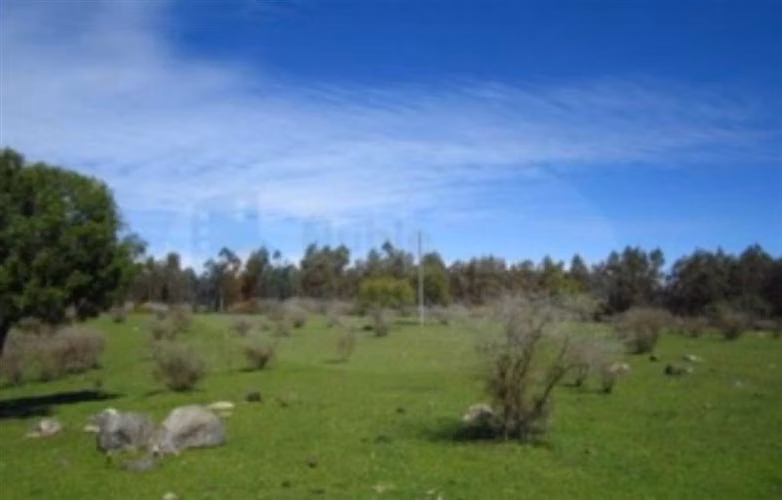 Parcela en venta en Bulnes