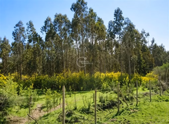 Parcela en venta en Bulnes