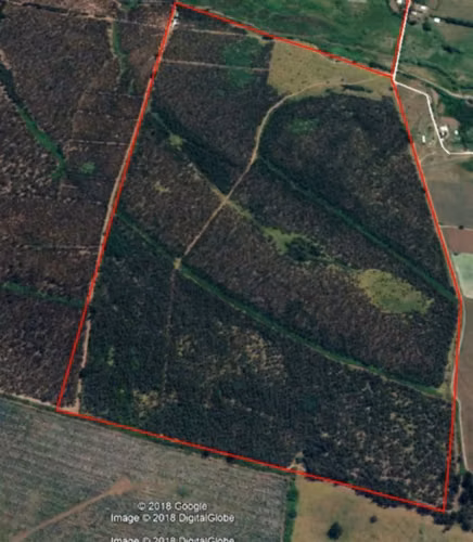 Parcela en venta en Bulnes