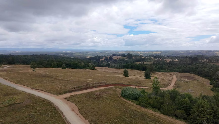 Terreno Frutillar Rol Propio Luz Agua Caminos (154492) - Imagen 9