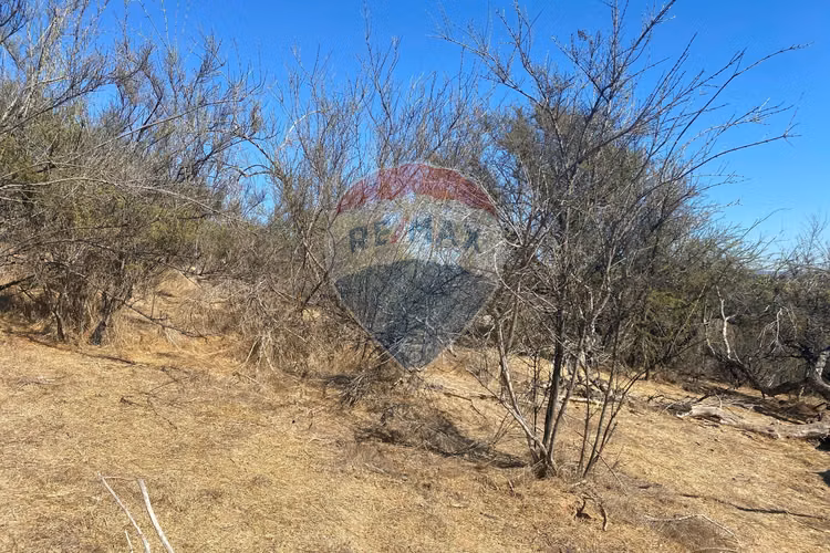 Terreno en venta hacienda los aromos,valle nativo - Imagen 26