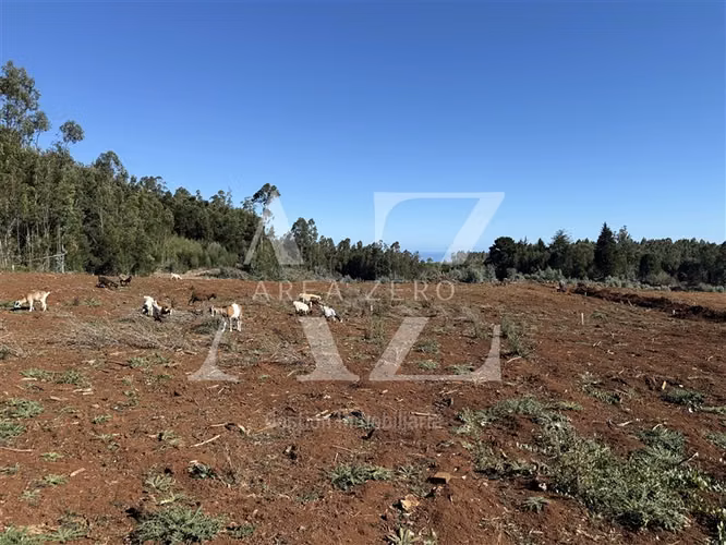 VENTA Sitio Punta de Parra, Tomé - Imagen 8