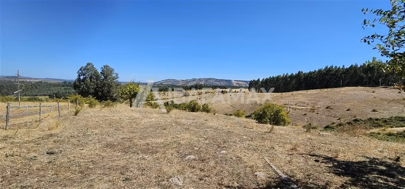 Parcela en venta en Yumbel