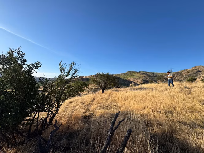 Parcela con Vistas Panorámicas (154508) - Imagen 8