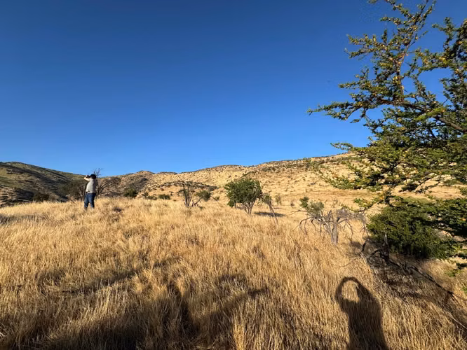 Parcela con Vistas Panorámicas (154508) - Imagen 9