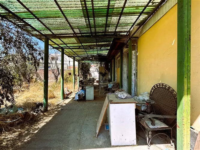Terreno de 1000 M2 / Rojas Magallanes - Imagen 13