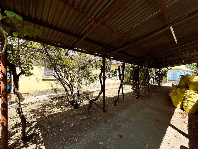Terreno de 1000 M2 / Rojas Magallanes - Imagen 10