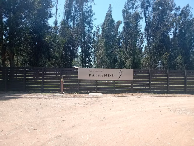 EN VENTA DE TERRENO EN CONDOMINIO PAISANDÚ DE TALAGANTE 5000 MTS2 - Imagen 5