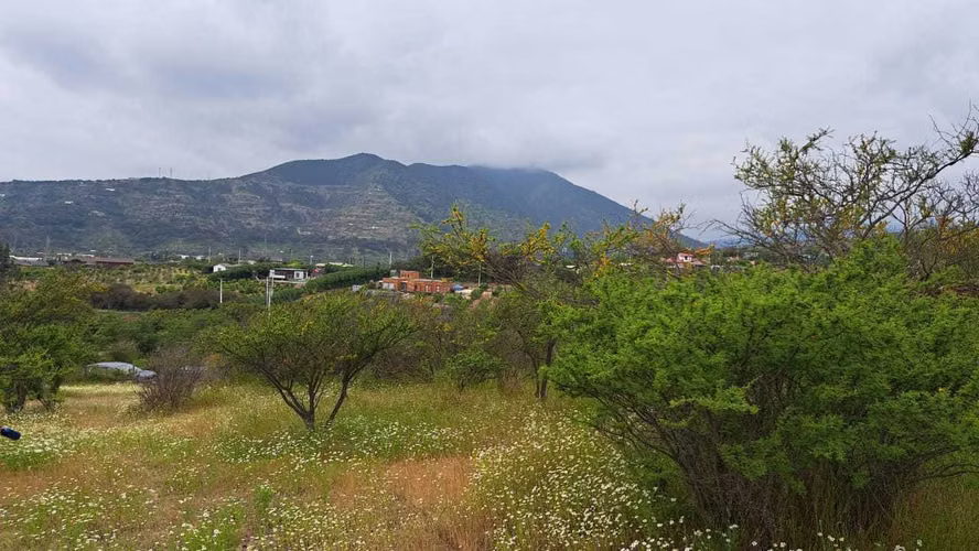 Oportunidad Sitio San Pedro Quillota (154645)