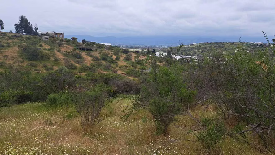 Oportunidad Sitio San Pedro Quillota (154645)