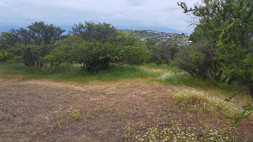 Oportunidad Sitio San Pedro Quillota (154645)