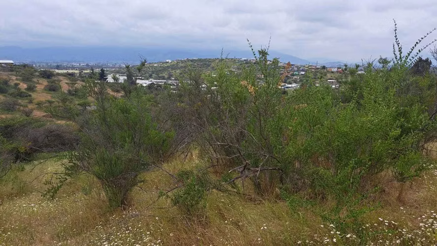 Oportunidad Sitio San Pedro Quillota (154645)