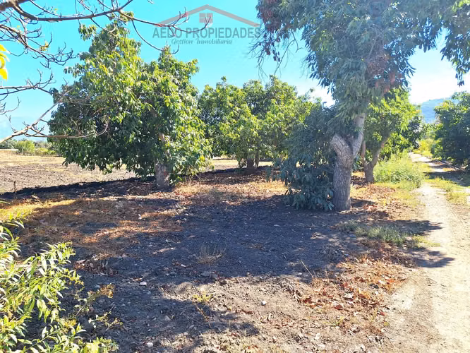 Se Vende Parcela/Terreno con Hermosa Casa, Sector Pocochay, Comuna de La Cruz