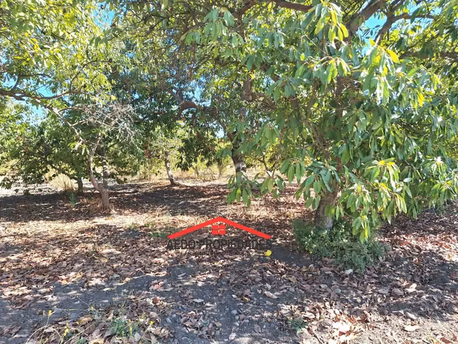 Se Vende Parcela/Terreno con Hermosa Casa, Sector Pocochay, Comuna de La Cruz