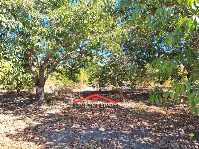 Se Vende Parcela/Terreno con Hermosa Casa, Sector Pocochay, Comuna de La Cruz
