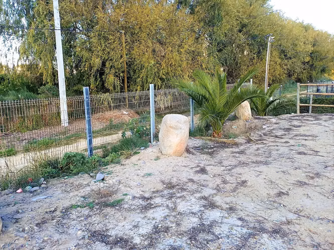 Venta de Parcela de 5.000 m2. en El Romeral., sector Purehue.  160 M$.