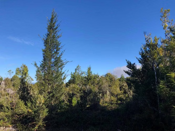 Parcelas en venta en Bosques de Molino viejo (154809)