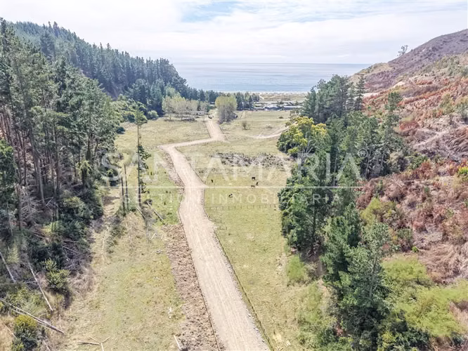 Sitio en venta en Fundo las Peñas, Arauco