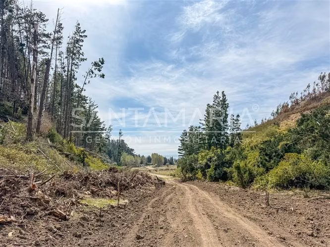 Sitio en venta en Fundo las Peñas, Arauco