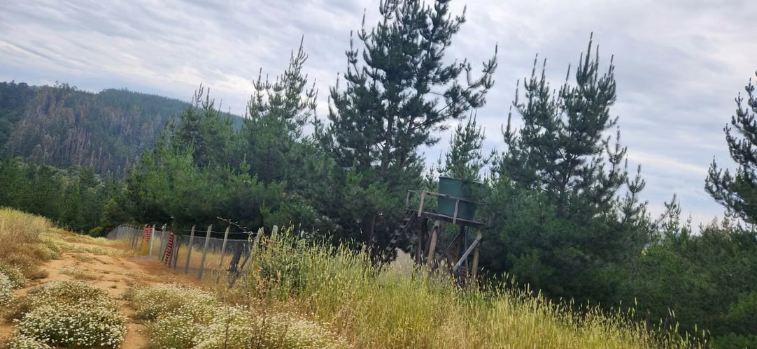 PARCELA CON CASA SEXTA REGION BRISAS DE BUCALEMU