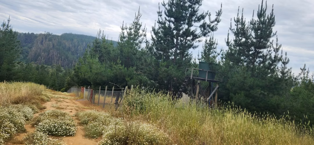 PARCELA CON CASA SEXTA REGION BRISAS DE BUCALEMU