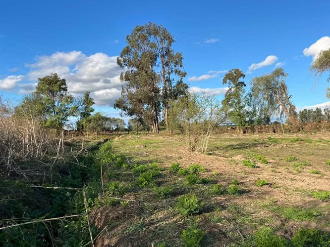 Parcela 5000m2 a 12 minutos ruta 5 Sur  (154847)