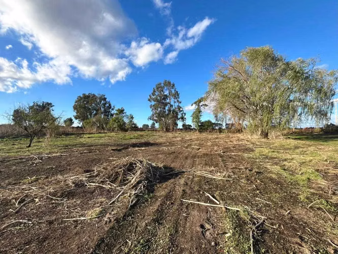 Parcela 5000m2 a 12 minutos ruta 5 Sur  (154847)