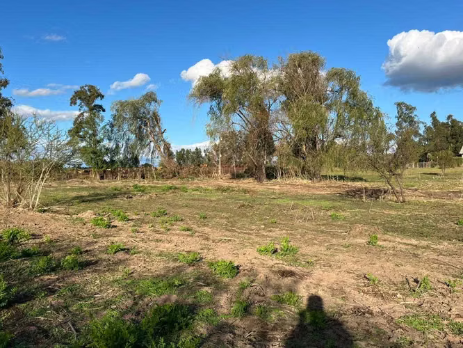 Parcela 5000m2 a 12 minutos ruta 5 Sur  (154847)