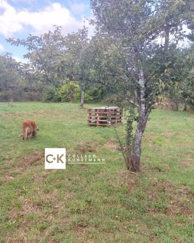 Venta de casa con terreno.  (154913)