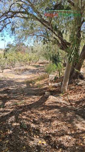 SITIO Sitio en venta en Totoral - Imagen 4