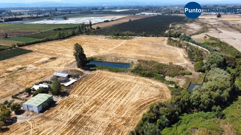 Excelente Campo Frutícola en Coihueco