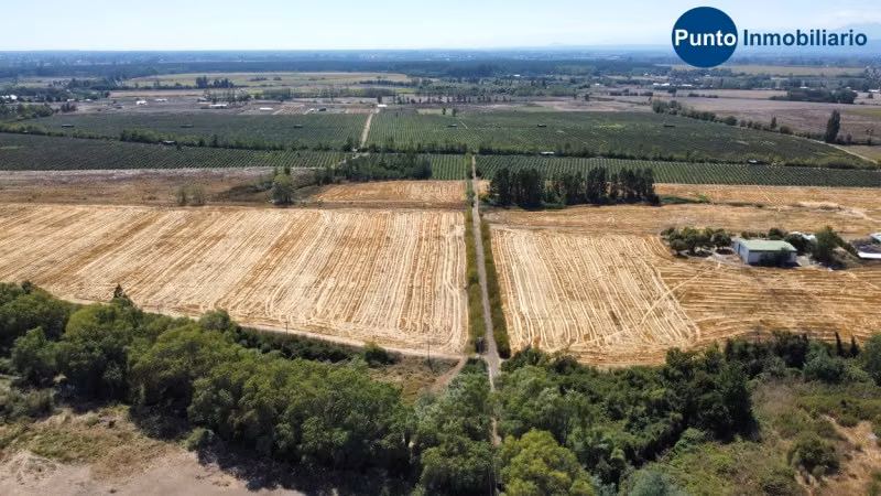 Excelente Campo Frutícola en Coihueco