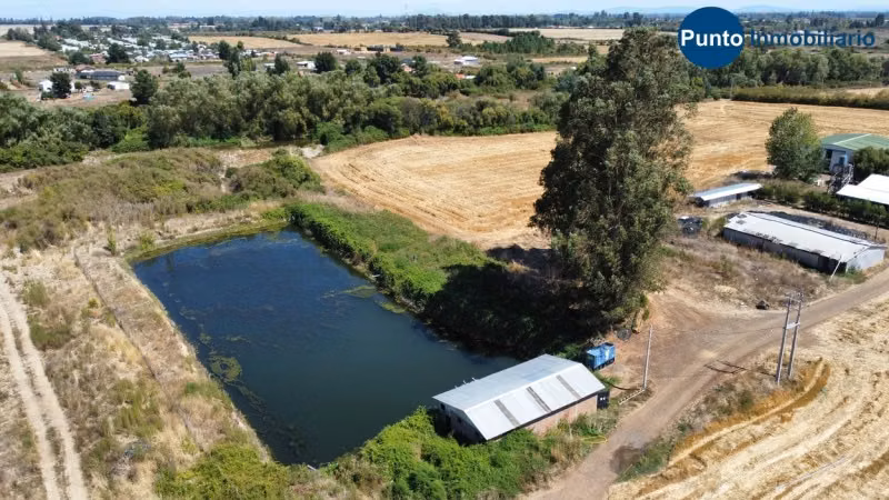 Excelente Campo Frutícola en Coihueco