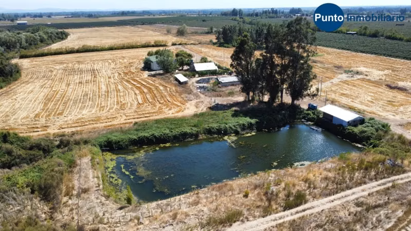 Excelente Campo Frutícola en Coihueco