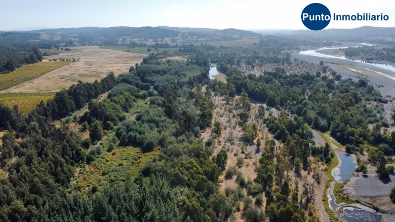Fundo Colindante Río Ñuble