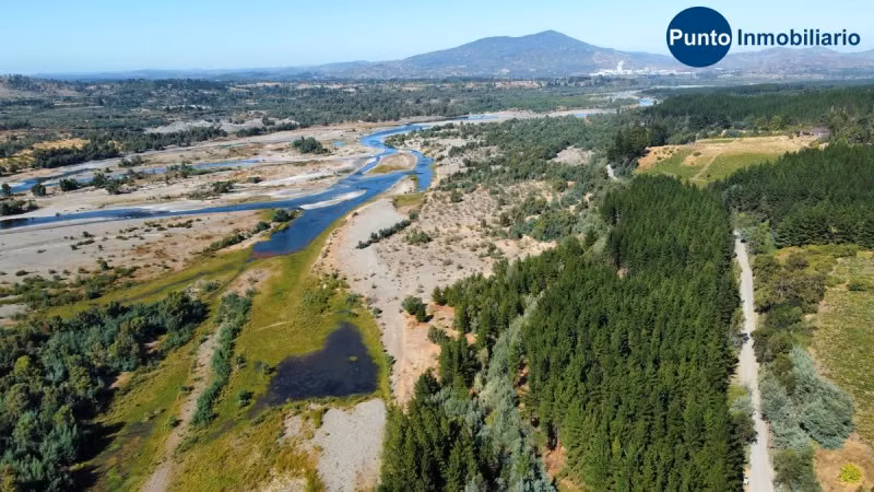 Fundo Colindante Río Ñuble
