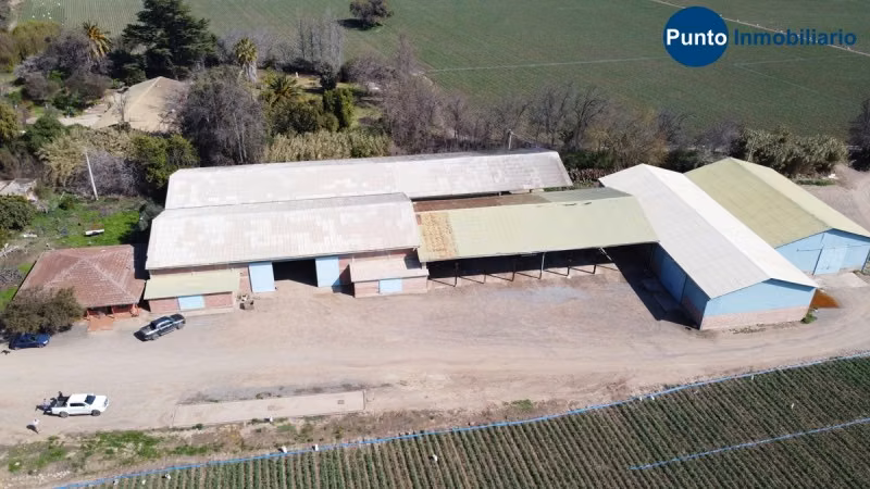 Campo Apto Frutales en Catemu